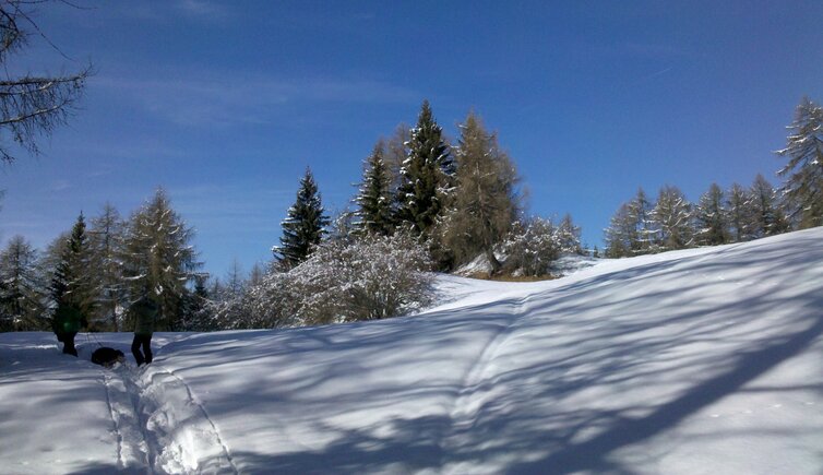 kalterersee highlights winter